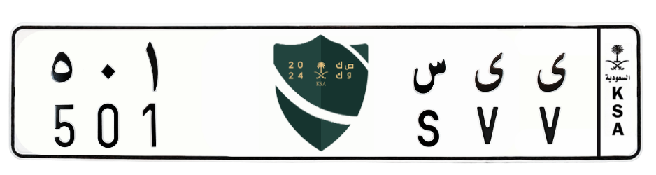 لوحة ى ى س 501